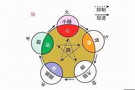 語五行|語字的五行属性